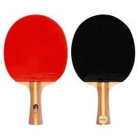 红双喜(DHS) T2002长柄横拍双面反胶乒乓球拍(初学训练二星级)