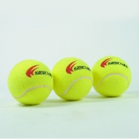 康驰(KangChi) KC2560散装国产羊毛训练网球