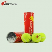康驰(KangChi) KC2573罐装国产羊毛比赛网球