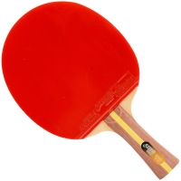 红双喜(DHS) T2003长柄横拍双面正反胶乒乓球拍(初学训练二星级)