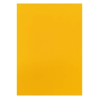 亚鑫 YX-1528 彩色卡纸 A4 10张/包 柠檬黄